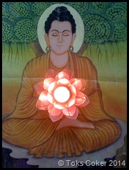 buddha lotus heart
